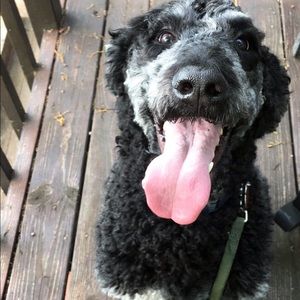 Meet your Posher, Madeline